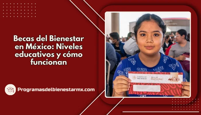 Becas del Bienestar en México: Niveles educativos y cómo funcionan