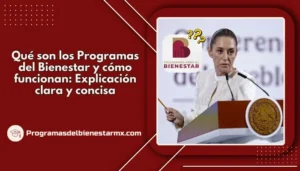 Qué son los Programas del Bienestar y cómo funcionan: Explicación clara y concisa